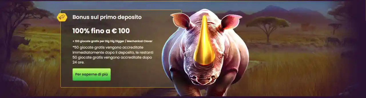 Bizzo Bonus